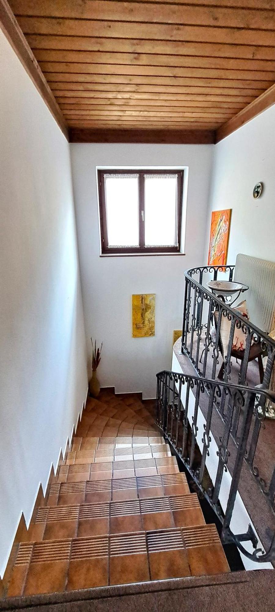 Moser Apartment Viehhofen